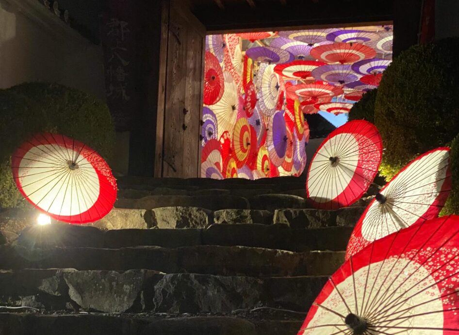 郡上八幡城　秋　ライトアップ　2025　和傘との共演
