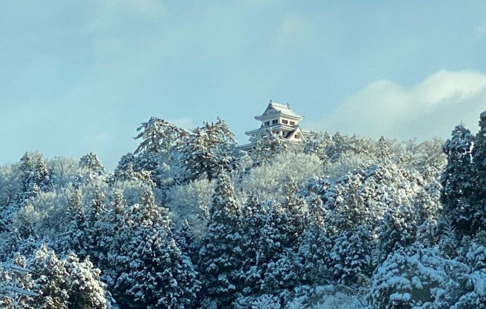 郡上八幡城　冬　雪化粧
