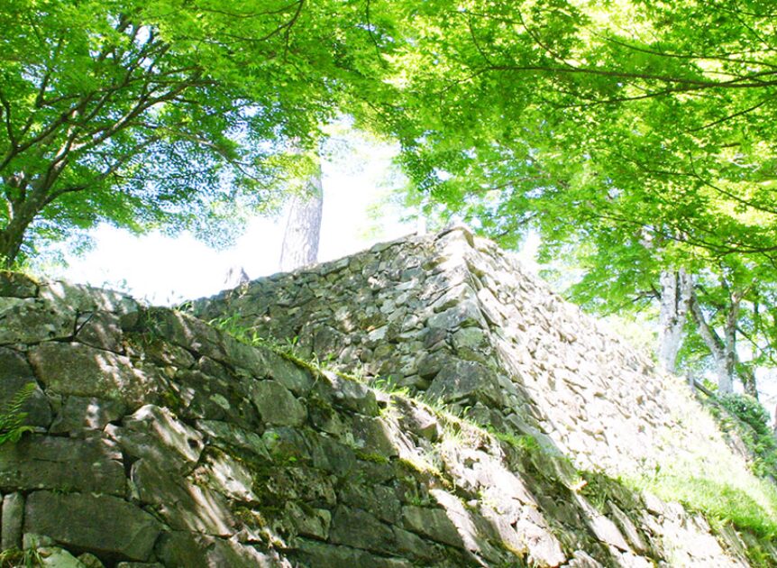 郡上八幡城　新緑　石垣