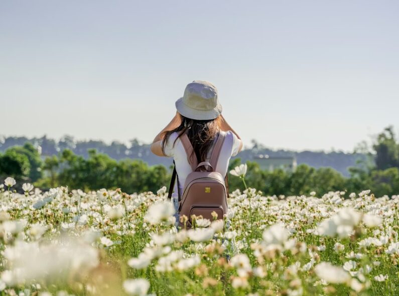 写真　花畑　後ろ姿　女性