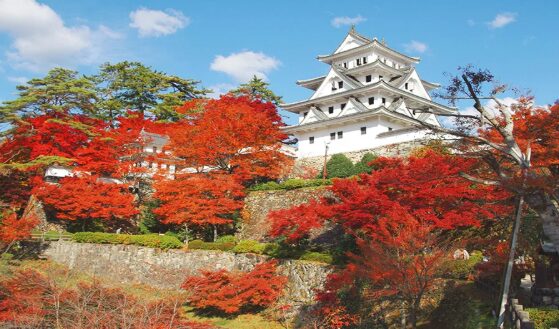 秋の郡上八幡城