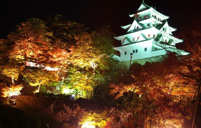 岐阜の旅ガイドより 郡上八幡城 ライトアップ画像