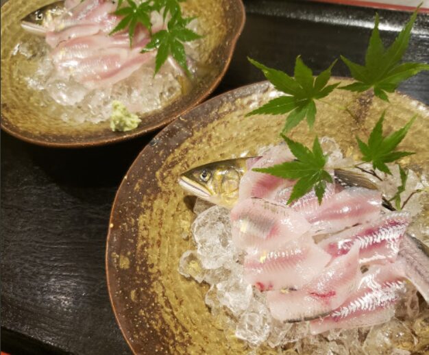 郡上八幡　大八　アユ料理　刺身